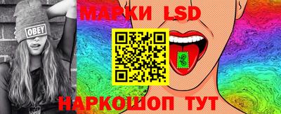 сатива Ставрополь