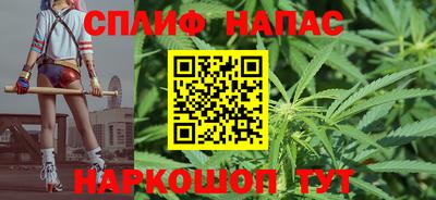 сатива Ставрополь