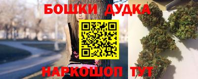 сатива Ставрополь