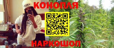 сатива Ставрополь