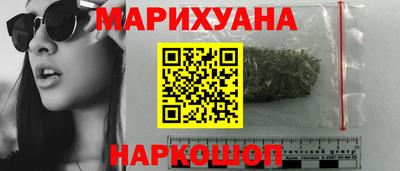 сатива Ставрополь