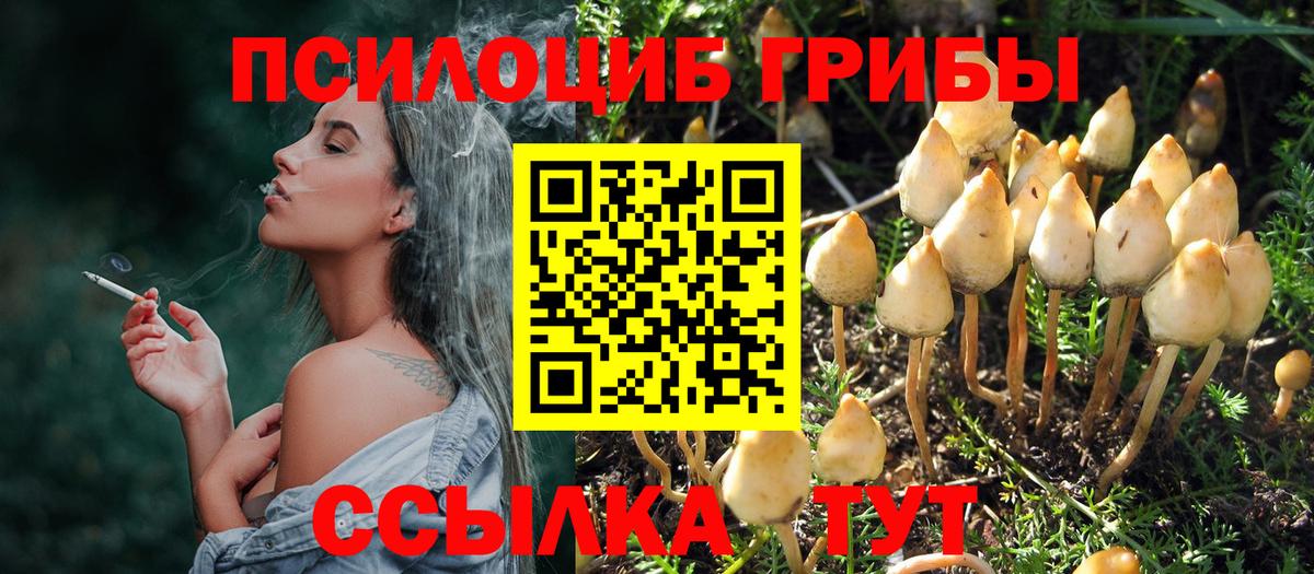 Псилоцибиновые грибы мицелий  Вход с VPN  наркошоп  Саяногорск  Галлюциногенные грибы MAGIC MUSHROOMS 